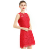 D097 Women Floral eyelash lace sleeveless fitted day and party mini dress