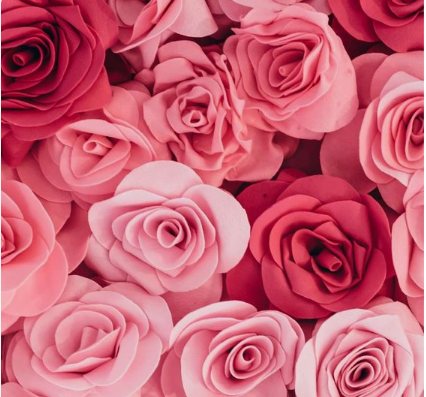 roses